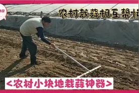 农村小块地种蒜开沟神器，别看不起眼，用着顺手，剥蒜种蒜全过程