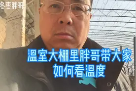 温室大棚里胖哥带大家如何看温度