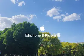iphone8Plus拍摄日常视频，不得不说它是一部神机。