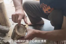 用最普通大家都熟悉的槐树做的按摩斗不用说了看了就知道视频封面