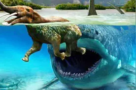 世界上最大的巨齿鲨到底有多大？研究发现其战斗力远超人类想象视频封面