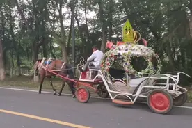 马车真的上马路跑，在城市里很少见得到视频封面