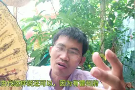 广东方言趣谈：雷州话能代表湛江话吗？视频封面