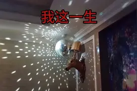 偶尔一首（DJ版）的【我这一生】献给努力拼搏的人们视频封面