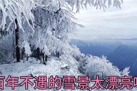 湖北迎来史上最大一场雪，所有森林银装素裹，雪景太美了，真漂亮