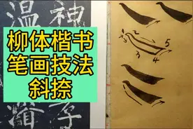 都说柳体源自颜体，这个笔画尤其相像，看看像在哪？视频封面