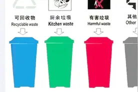 玉米棒、大棒骨、过期药是什么垃圾？你被垃圾分类“逼疯”了吗？视频封面