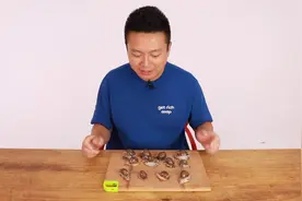 奇特的海中蜗牛 大连鲍鱼螺