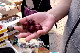 西宝要吃65块钱一斤的车厘子，西妈只买了5个，看看要多少钱？视频封面