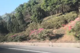 从武鸣去南宁吴圩机场，沿途的风景不错哦！视频封面
