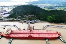 专家：实现“能源自给自足”，这已成为一个“紧迫的现实”视频封面