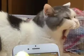 iOS越獄工具和插件介紹～视频封面
