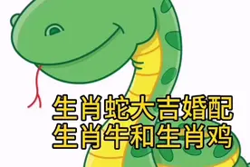 十二生肖～生肖蛇大吉婚配视频封面