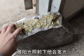 我家乡稀有的物种，金灿灿的石头却不是黄金，很多人都没见过视频封面
