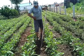 老周常说 : 劳动也是一种享受，劳动会带给他幸福和快乐！视频封面