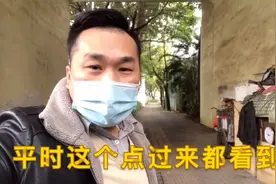南宁某桥底住着一位哑巴大叔，住宿环境干净真让人佩服。视频封面