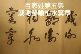 百家姓连续剧第五集戚谢邹喻柏水窦章视频封面