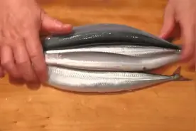 日本料理大厨，展示精湛刀工，对秋刀鱼剔刺去皮，手法有点厉害