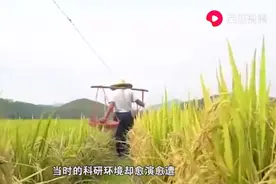 史上最牛90岁老头,间接救下8亿人性命,他能让13亿人2个月不上班视频封面