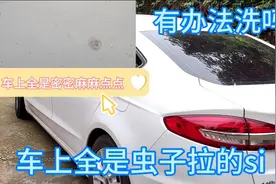 岳父车子停外面，全是虫子排泄物自己还洗不干净，大家有办法吗？