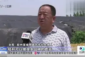秸秆回收 岛城探索秸秆经济新模式 一亩地补贴20元视频封面