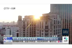 农行推出纳税e贷等金融服务 一个月发放贷款5亿元 让企业轻松贷款视频封面