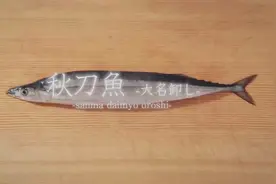 日本职人师傅带你解剖秋刀鱼