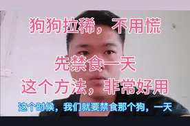 养肉狗，拉稀常见的，大家不用慌。先禁食狗狗一天，再用一个方法视频封面