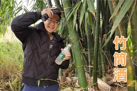 风靡一时的竹筒酒是骗局还是机遇？小陈亲自实验，味道竟是这样的