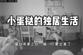主人出差，第一次把小猫咪独自留在家里，这一周会发生什么？视频封面