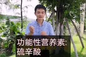 功能性营养素～硫辛酸