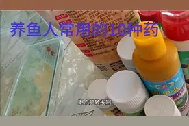 10种养鱼常用的药，治疗什么疾病，怎么用，有一种亿万家庭都有视频封面