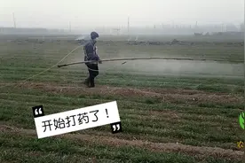 山东邹平：麦田打农药，新的打药喷杆打药，真的很实用！视频封面