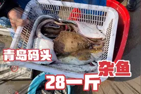 山东青岛海鲜码头，杂鱼28元一斤，大家看看值不值视频封面