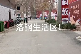 洛阳钢厂！三十年前在洛南算是大厂！今天带大家看看他的生活区！视频封面
