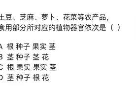 公务员考试，土豆、萝卜的食用部分是根还是茎？视频封面