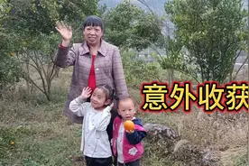 潘嫂老公在挖红薯的时候，竟意外发现了现在稀少的东西，意外收获视频封面
