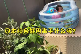 日本公寓楼的阳台适合干什么？视频封面