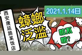 西安唐延路灭蟑螂，蟑螂泛滥？这家店你肯定吃过，信不？