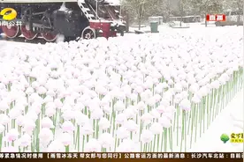 湘潭盘龙大观园：现场有银装素裹的美景，还有好玩的网红打卡点！视频封面