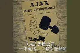 猫捉老鼠之 汤姆找帮手抓杰瑞到最后竟然成为猫抓猫😂视频封面