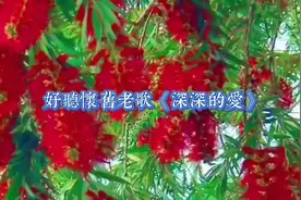 一首怀旧老歌《深深的爱》想起从前甜蜜的过去