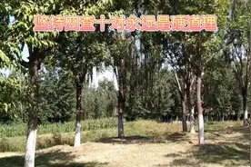 坚持四查十对永远是硬道理