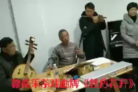 安远采茶戏：牡丹花开视频封面