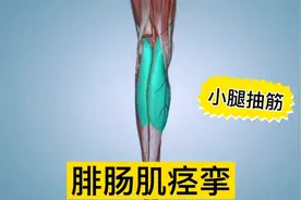 腓肠肌痉挛解剖分析，各种原因引起小腿抽筋。