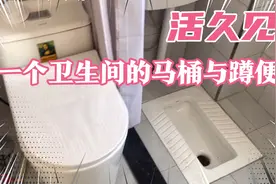 见过这种装修吗，一个卫生间装了马桶与蹲便，更方便还是画蛇添足视频封面