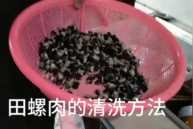 今天才知道，用这种方法清洗田螺肉，不仅快速，而且洗的更干净视频封面