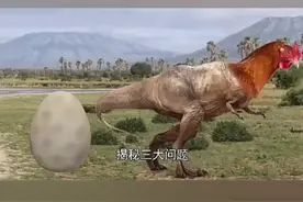 世界三大难题今天在这里一起给你解决了视频封面