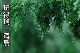 50首珍藏轻音乐第3集:《清晨》非常适合清晨起床后听的轻音乐名曲