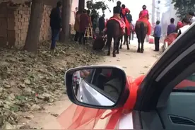 实拍农村婚礼别样风俗，骑马结婚你们见过么？视频封面